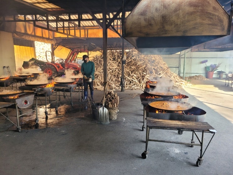  당일 먹방 여행