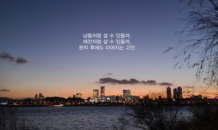  [암치료] 암 치료의 빛과 그림자 (항암 부작용, 암 치료비용, 암 이후의 삶)