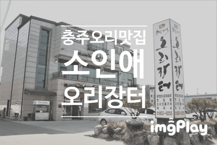  <충주 오리 맛집> 소인애 오리 장터 연잎밥 정식을 소개합니다 :)
