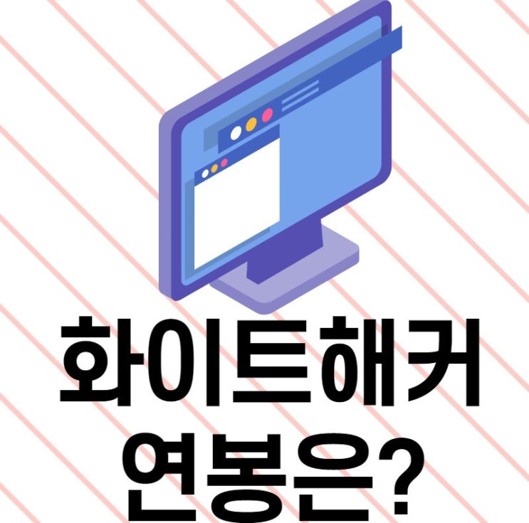  화이트해커 연봉 및 국비지원 취업률 90% 이상