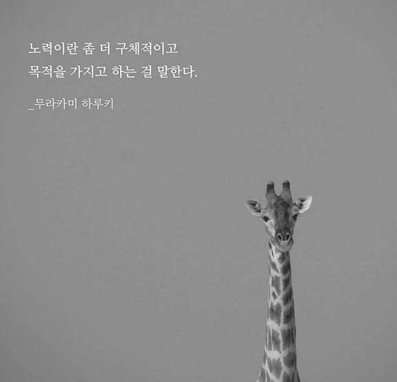  무라카미 하루키에 반한 순간