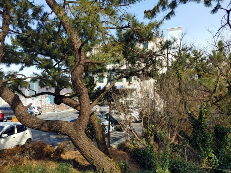  부산 동구 도서관, 도서 예약•대출 방법(너무 편리해ㅋㅋ)