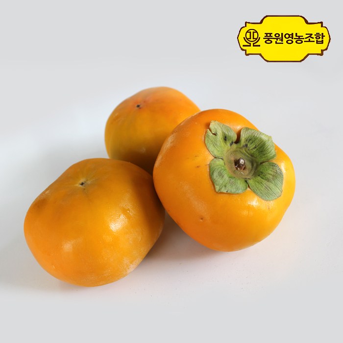 많이 찾는 풍원영농조합 단감, 1박스, 가정용흠과(사이즈랜덤) / 10KG ··· 많이 찾는 풍원영농조합 단감, 1박스, 가정용흠과(사이즈랜덤) / 10KG ···