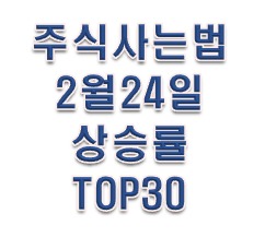  주식사는법 2월 24일 장마감시황