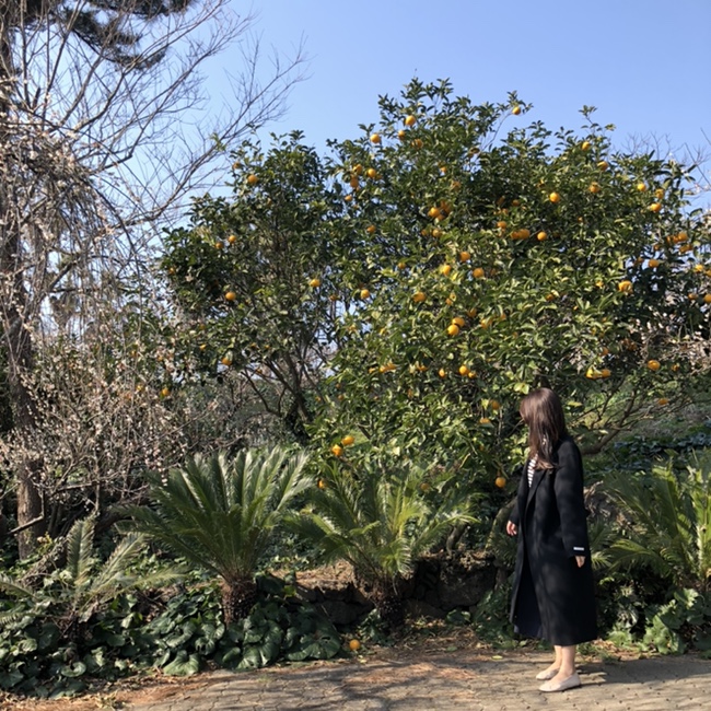  Jeju (feb, 2021)