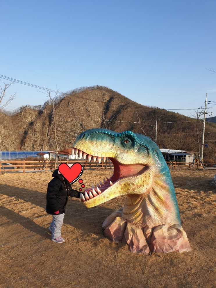 [경북 청송 신성리공룡발자국 무료입장] 아이들과 초대형 움직이는 공룡구경