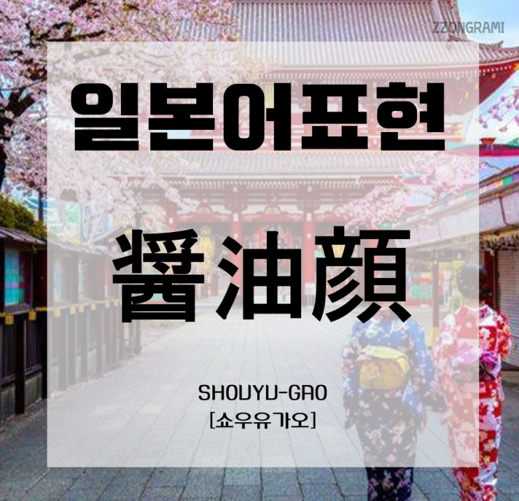  [일본어 공부] 일본어 표현 : 조미료로 구분한 얼굴(顔) 표현 ① 「醤油顔」