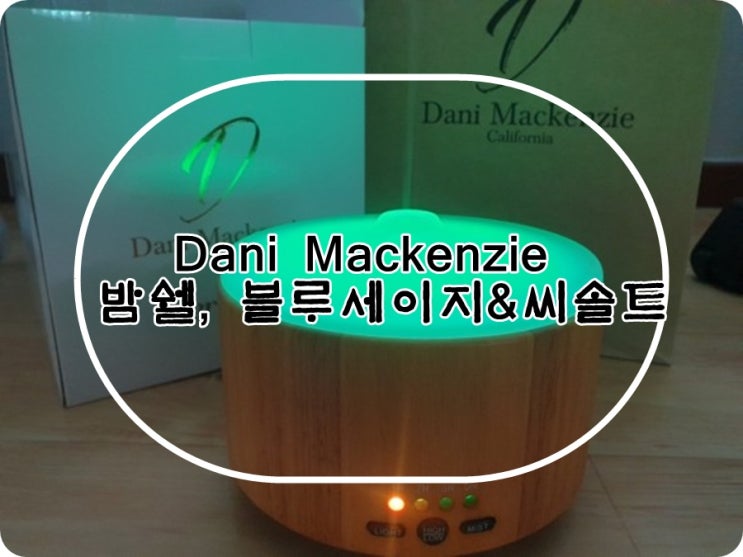  대니멕켄지(Dani Mackenzie) 밤쉘,블루세이지&씨솔트 디퓨저, 오일향수 :내돈내산