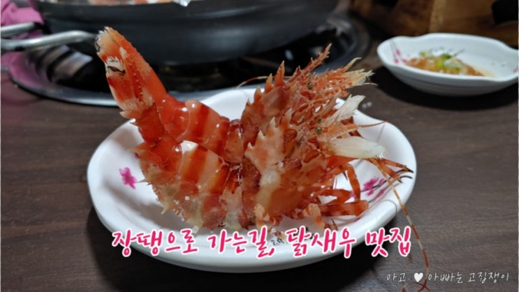  장땡으로 가는길, 자연산 독도 닭새우 꽃새우 맛집