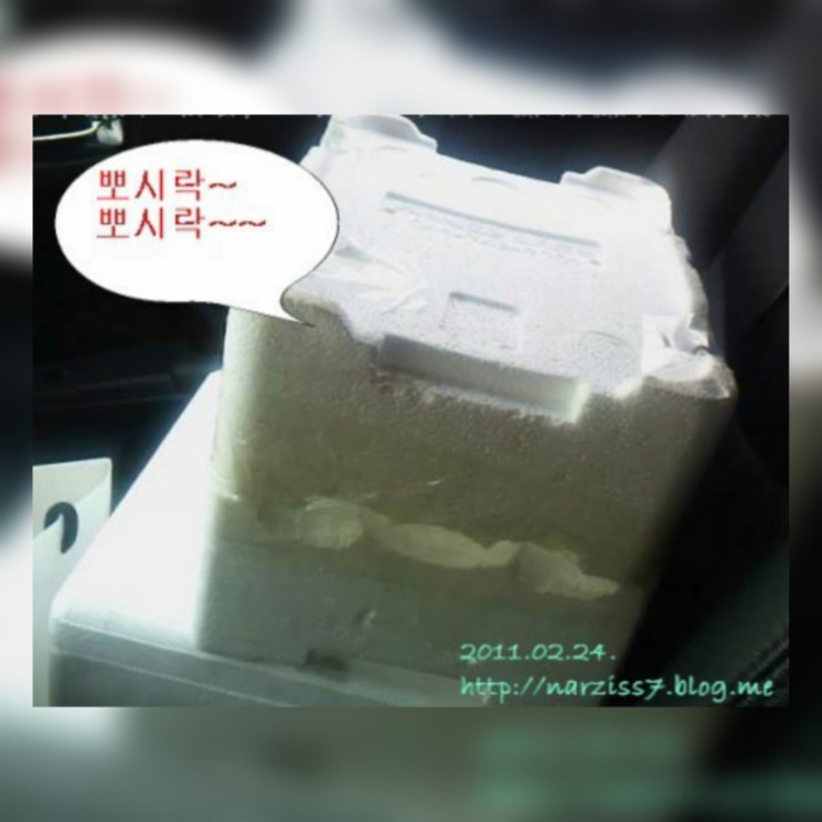  CRS 입양!! 두둥~~