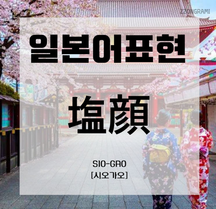  [일본어 공부] 일본어 표현 : 조미료로 구분한 얼굴(顔) 표현② 「塩顔」