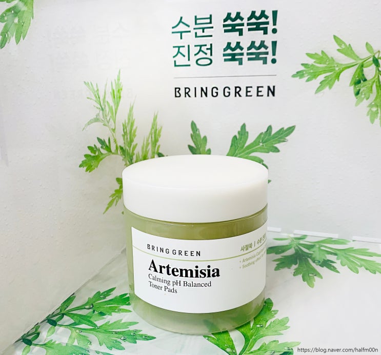  올리브영 토너패드 추천 - 수분가득 브링그린 사철쑥 토너패드
