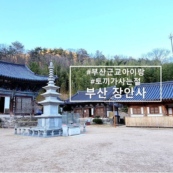  부산 근교 토끼가 사는 절 기장 '장안사'