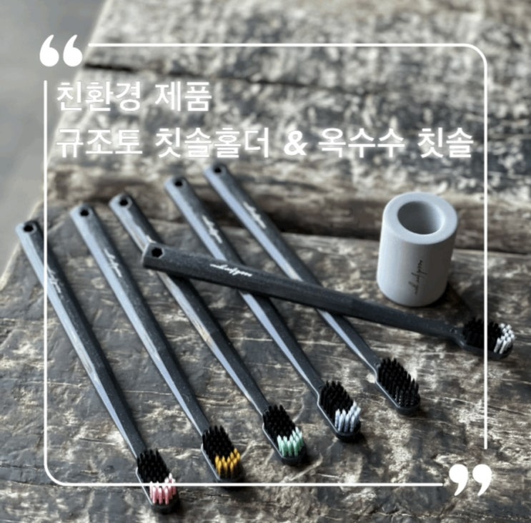  친환경 칫솔 제품 : 니드포유 규조토 칫솔 홀더 & 옥수수 칫솔