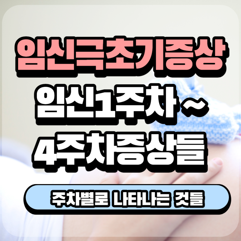 임신 1주차, 2주차, 3주차, 4주차 증상 알아보기