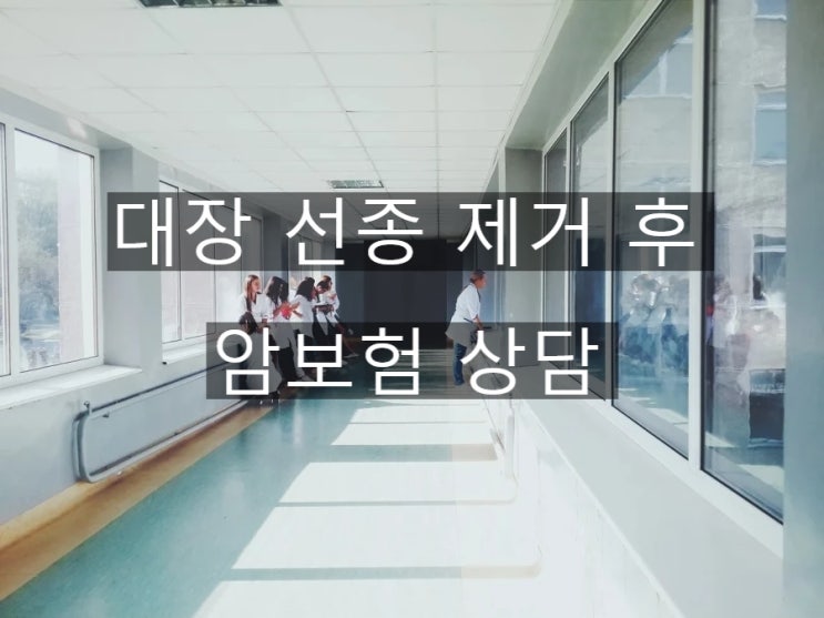  대장암으로 발전할 수 있는 대장 선종 제거 후 암보험 상담