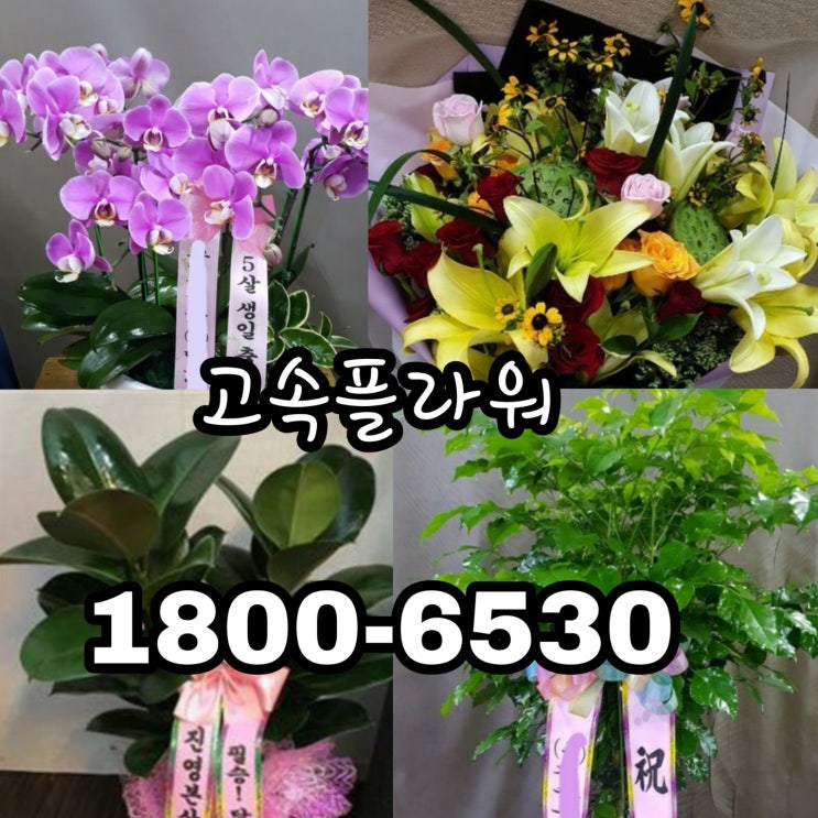  전북 은파장례문화원 화환배달 근조화환 3단근조 주문 저렴한화환 54,000원 고속플라워 1800-6530