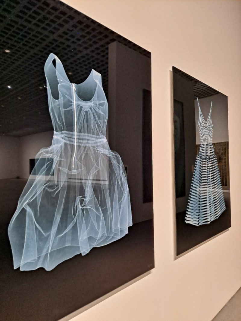 아모레퍼시픽미술관에서 현대미술 소장품 특별전 <APMA, CHAPTER THREE – FROM THE APMA COLLECTION> :  네이버 블로그