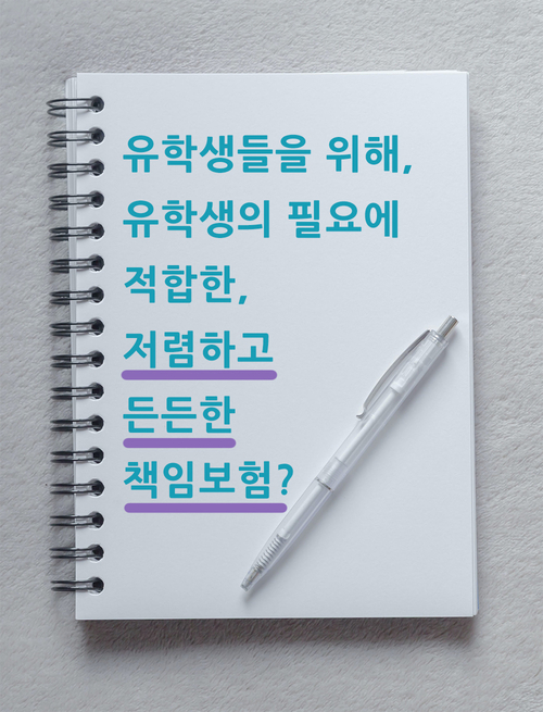  독일에서 책임보험이 필요한 이유