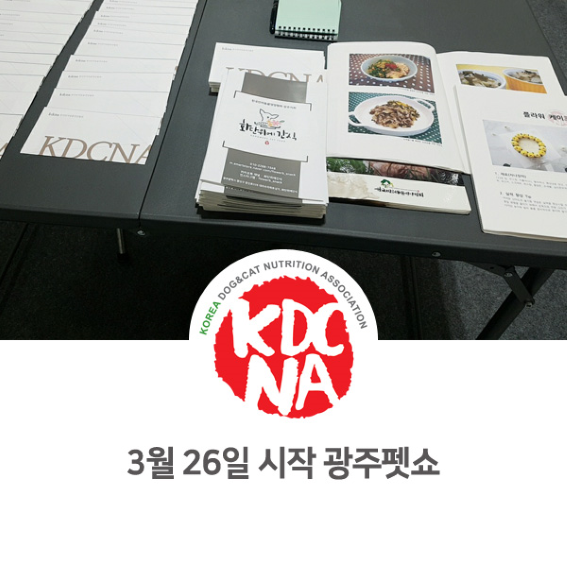  [펫푸드자격증/한국반려동물영양협회/전주/광주/목포/광양/순천/천안/군산/익산/대전/펫쇼/애견박람회] 강아지 고양이 자연식 수제간식과 함께한 광주펫쇼 후기_749
