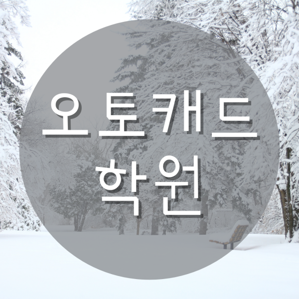  오토캐드학원 어디로 가야하죠?
