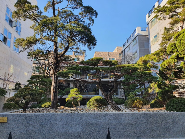  마치 예술공간 같은 카페, 앤트러사이트 서교