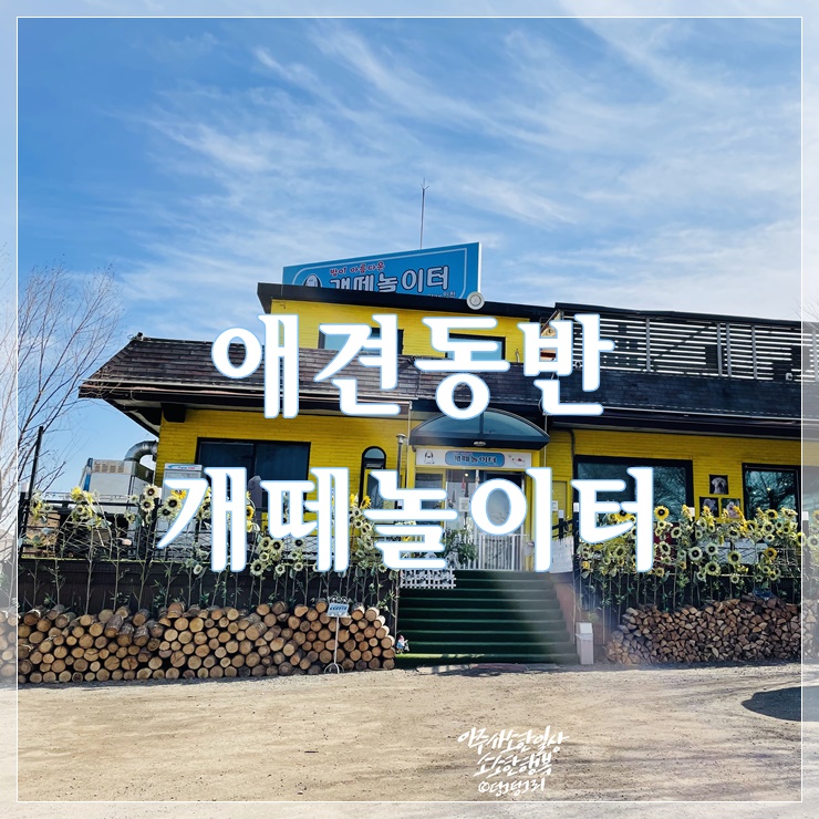  개떼놀이터 인천점 반려견과 함께하는 카페&식당 후기