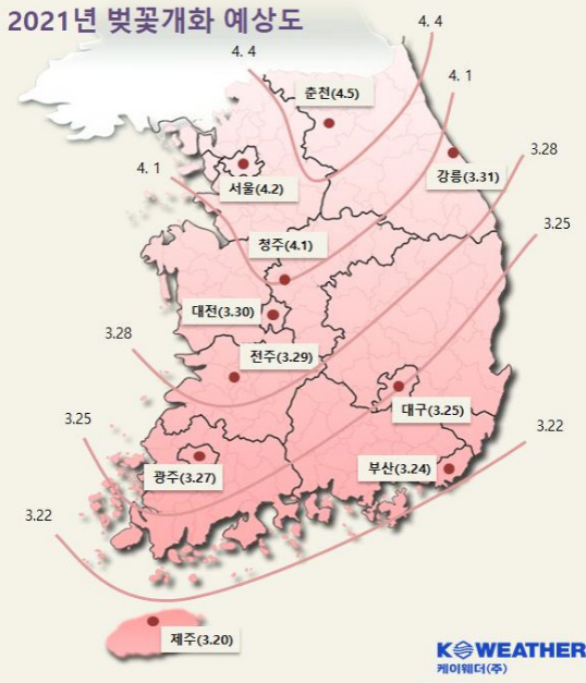  벚꽃 개화시기가 빠른 순서대로 정원 미달 속출하는 지방대의 현실