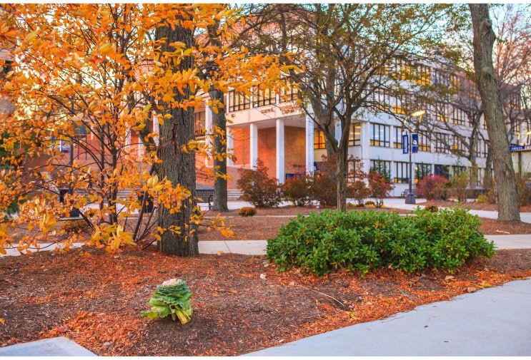  65) 뉴욕CC :: 퀸즈보로 커뮤니티컬리지 Queensborough Community College 학비, 지원시기, 전공