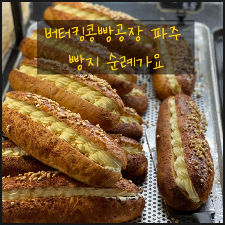  파주 빵집 버터킹콩빵공장 빵지 순례기