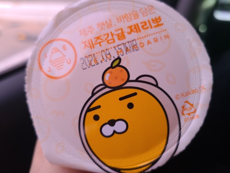 아무도 궁금하지 않은 2월 넷째주 일상공유 아무도 궁금하지 않은 2월 넷째주 일상공유