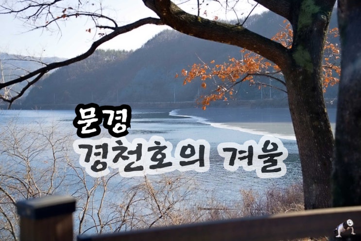 경북 문경 여행 경천호의 겨울