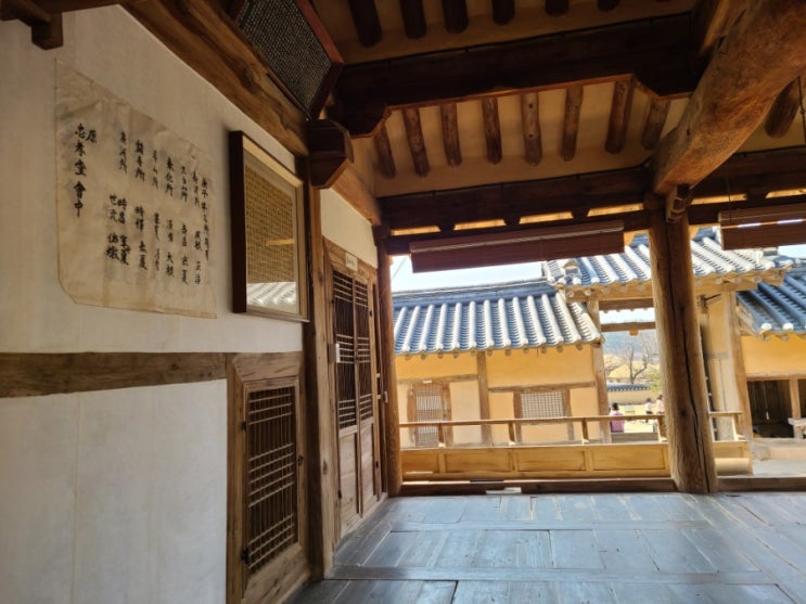  안동여행 1박2일 하회마을 그리고 병산서원과 맛집고고