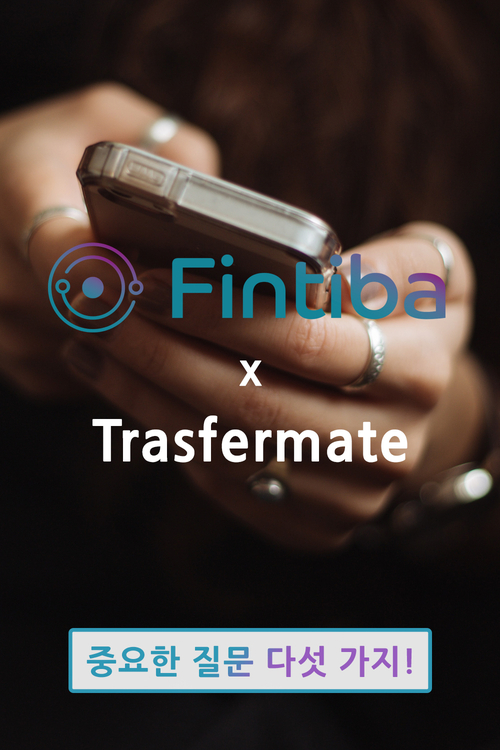  핀티바Fintiba 해외송금, Transfermate로 빠르고 안전하게!