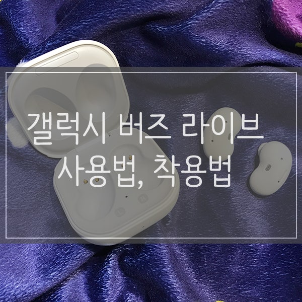 갤럭시 버즈 라이브 사용법 착용법 연결하기