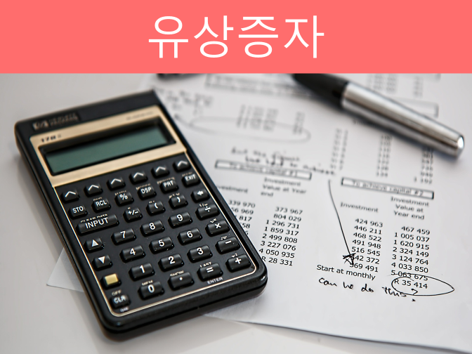  네이버, 스노우 유상증자 실시 1200억원 출자!!
