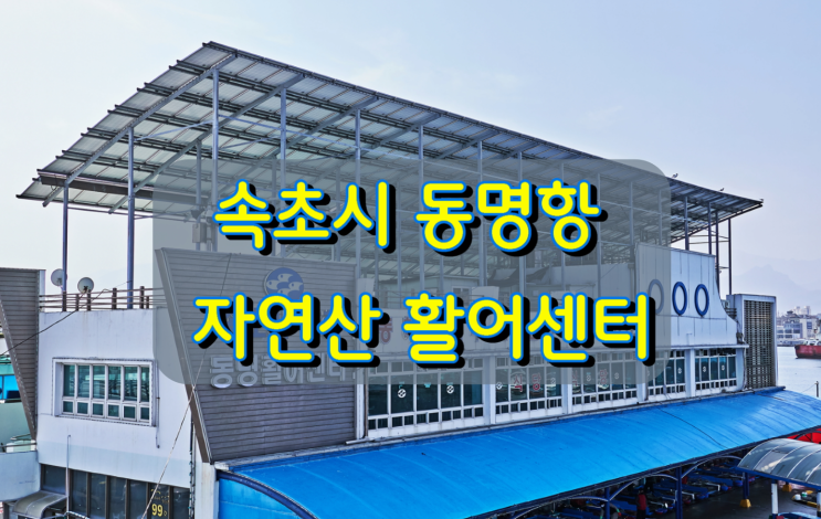속초시 동명항 자연산 활어센터 속초시 동명항 자연산 활어센터