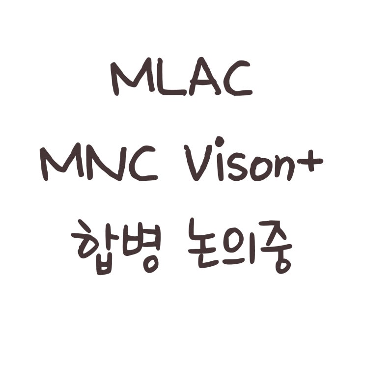  MLAC와 MNC Vision 합병 논의중