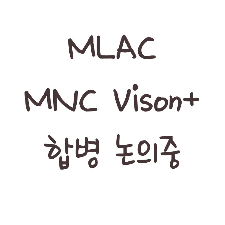 MLAC와 MNC Vision 합병 논의중