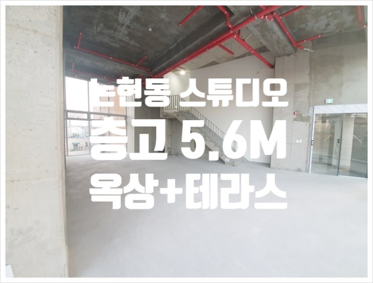  층고 5.6m 지상 스튜디오 겸 논현동 사무실 임대