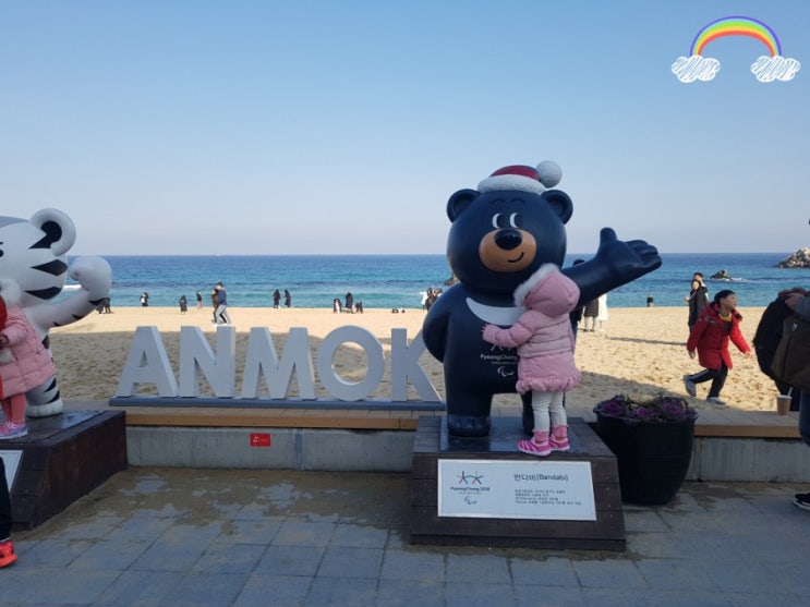  [강릉 안목해변, 강문해변] 아이들과 겨울바다 모래놀이터 여행