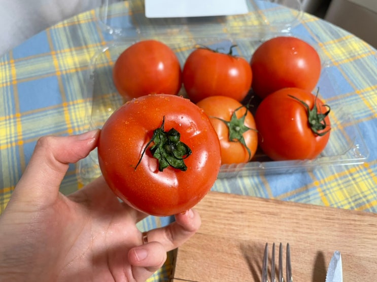  스테비아 토마토 칼로리, 토망고 요즘 힐링푸드 (수강신청급 어려운구매)