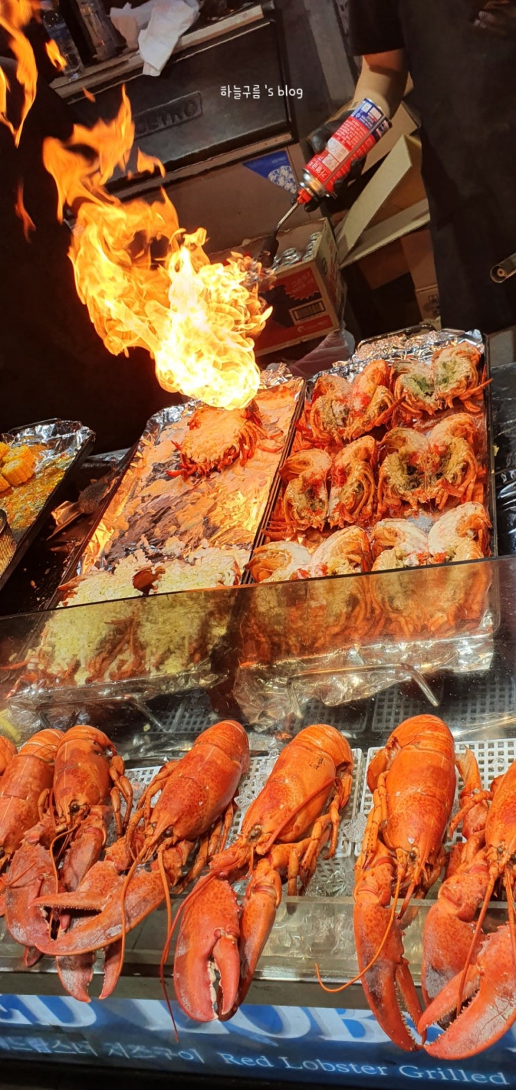 제주 동문시장 야시장 탐방기