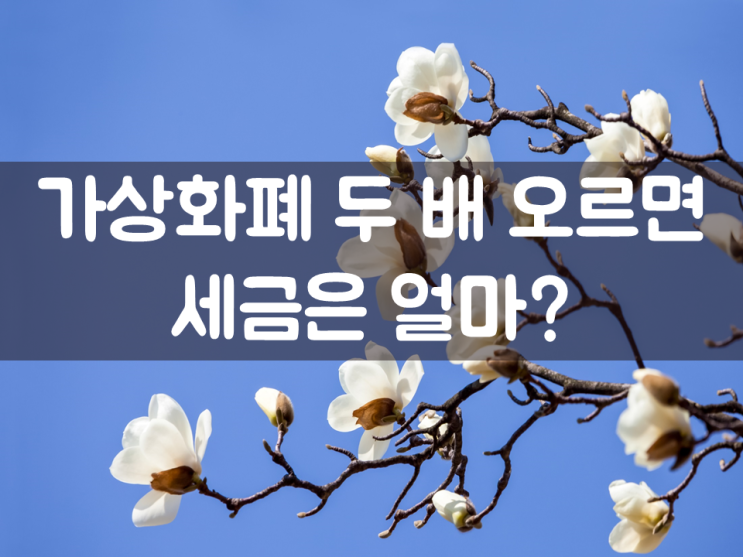  가상화폐 두 배 오르면 세금은 얼마?