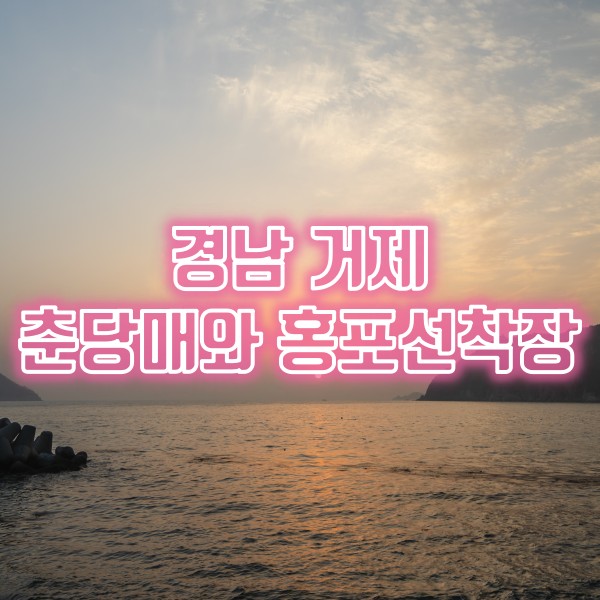  경남 거제도 여행지 추천 구조라초등학교 매화 춘당매와 홍포선착장 일몰