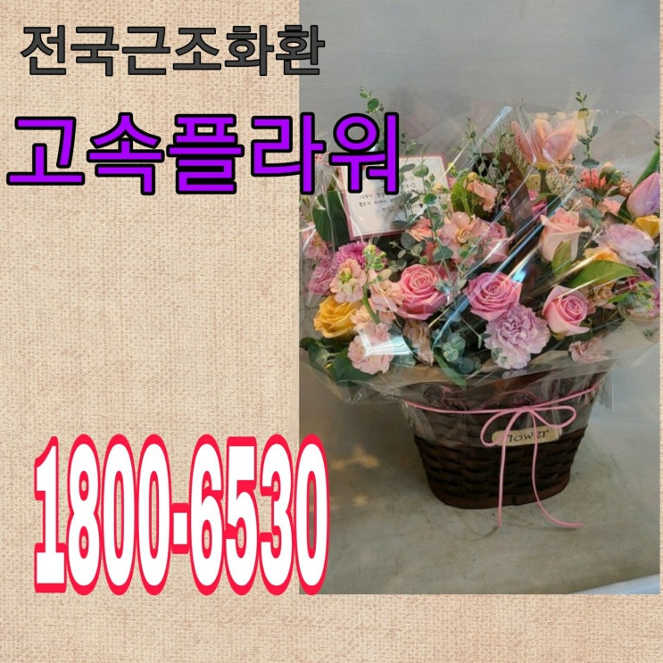  대전꽃바구니 꽃배달전문점 이쁘게 만들어드려요 원하시는스타일대로 인터넷으로 주문하세요 고속플라워 1800-6530