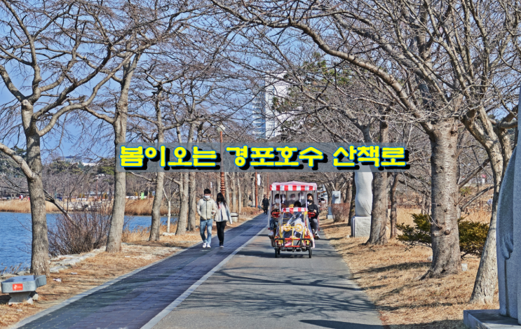 봄이오는 경포호수 산책로 봄이오는 경포호수 산책로