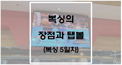  [운동] 복싱의 장점과 탭볼(복싱 5일차)