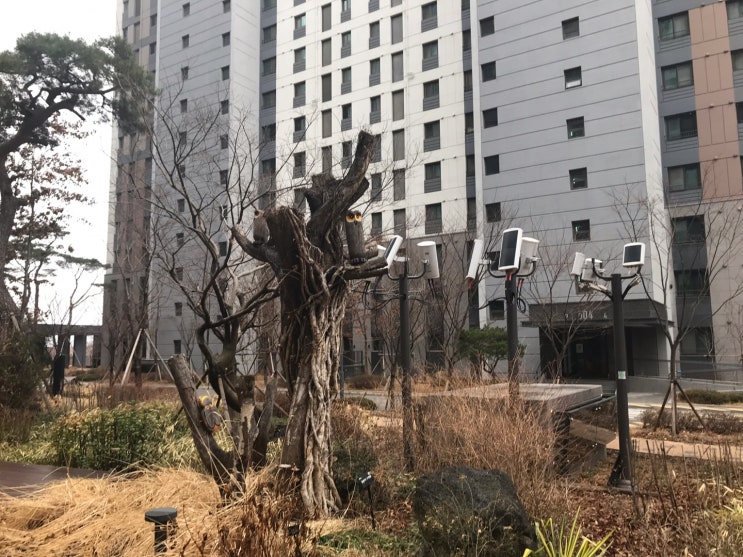  실거래가 신고 조작?! 최고가 시세  허위등록, 진실은?