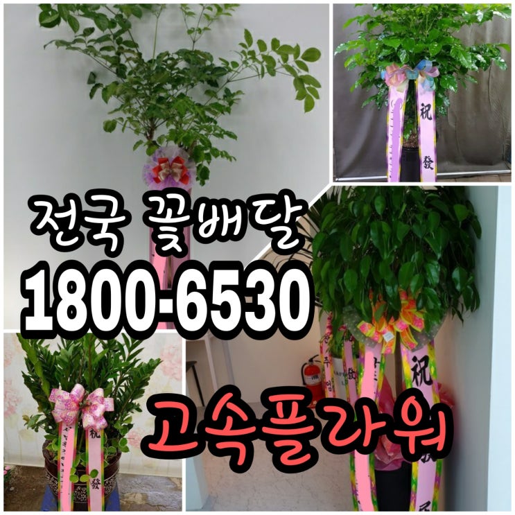 인천 장례식장화환배달 화환가격 저렴한화환 전국무료배송 54,000원 고속플라워 1800-6530